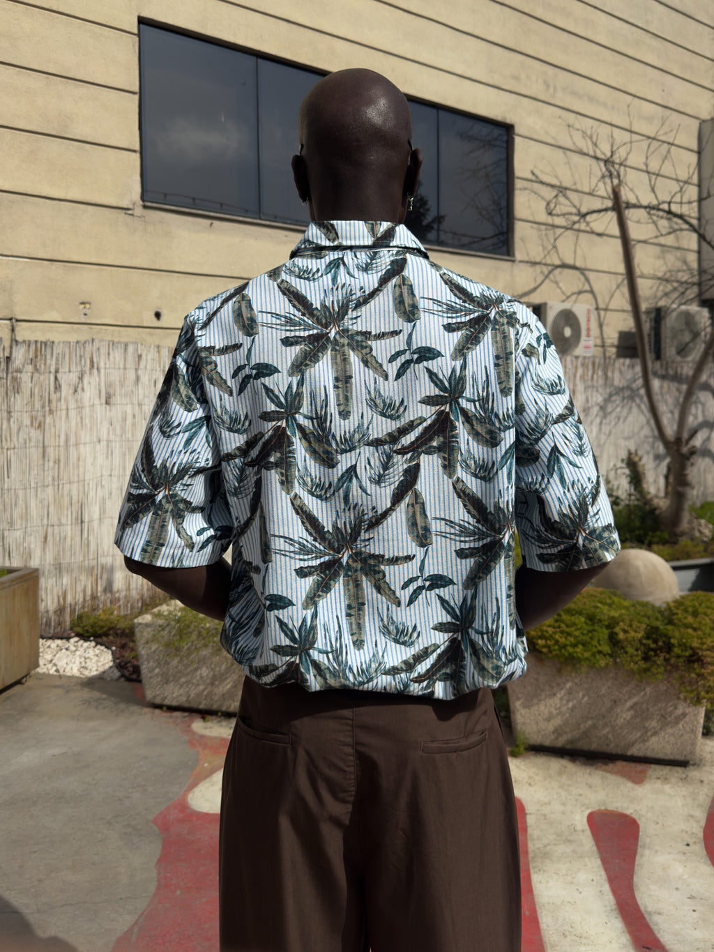 CAMASA TROPICAL